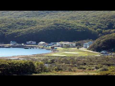 Видео: холуай