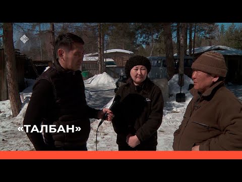 Видео: «Талбан» биэриигэ: Хатыстыыр тыын кыһалҕаларын иһиттибит (25.04.23)
