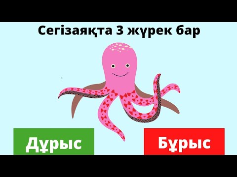 Видео: Дұрыс бұрыс ойыны.Логикалық ойын.Балаларға арналған.Логикалық сұрақтар #логикаәлемі