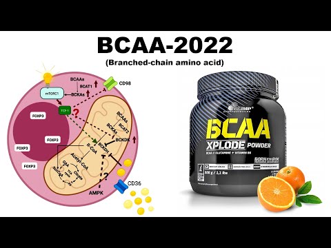 Видео: лекция: BCAA-2022
