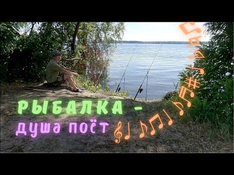 Видео: Рыбалка - душа поёт - сочиняю и пою песни во время рыбалки на донку в июле