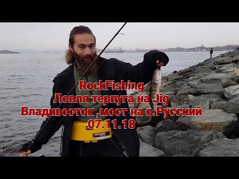 Видео: ОСЕННИЙ ТЕРПУГ под Русским мостом Владивосток