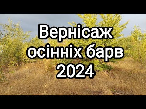 Видео: #вернісаж_осінніх_барв_2024  // Підсумки