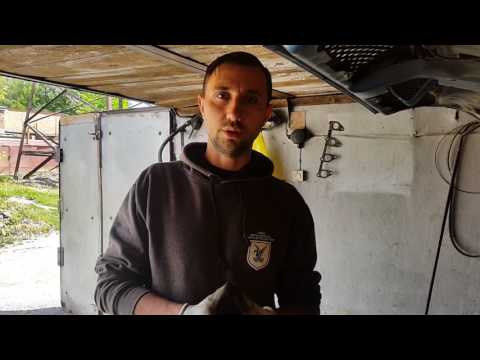 Видео: признаки неисправности выжимного подшипника