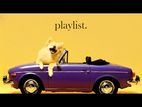 Видео: 𝐏𝐥𝐚𝐲𝐥𝐢𝐬𝐭 🎧 Поп-путешествие с осенним ветром 🚗 2025 Chill Pop плейлист без рекламы