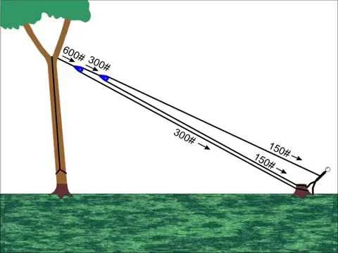 Видео: Срывание деревьев с помощью веревки