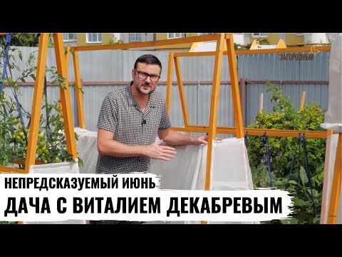 Видео: Дача с Виталием Декабревым //  Непредсказуемый июнь