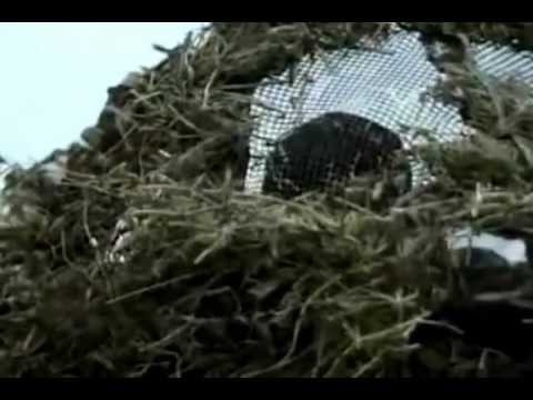 Видео: Скрадок Avery® Power Hunter™ Laydown Blind