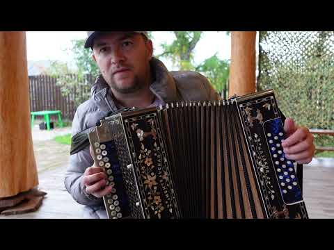 Видео: ДОСАДА учим на гармони