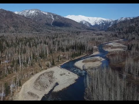 Видео: Поздняя осень.  На Хамире