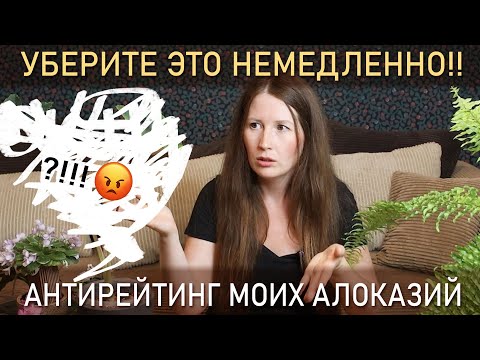 Видео: Уберите это немедленно!! АНТИРЕЙТИНГ моих алоказий