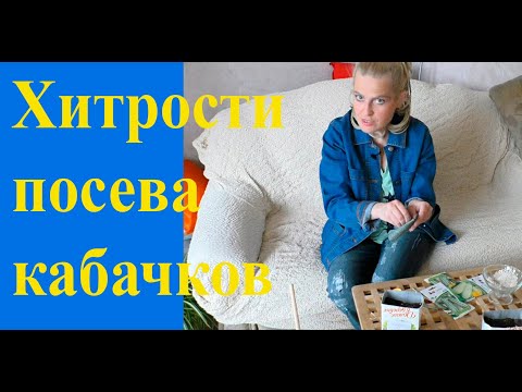 Видео: Посев кабачков на рассаду