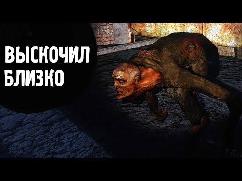 Видео: Чуть сердце не остановилось. Последний Выживший. Одна жизнь #3. STALKER