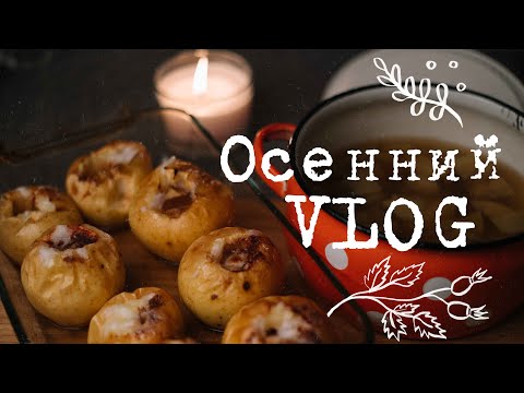 Видео: Очень осенний VLOG I Подготовка к зиме