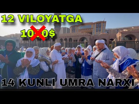 Видео: БУГУНГИ НАРХ ✅ 14 КУНЛИ УМРА НАРХИ 2025 12 ВИЛОЯТГА БИРХИЛ НАРХ УМРА ЗИЁРАТИ 2025 UMRA NARXI 2025