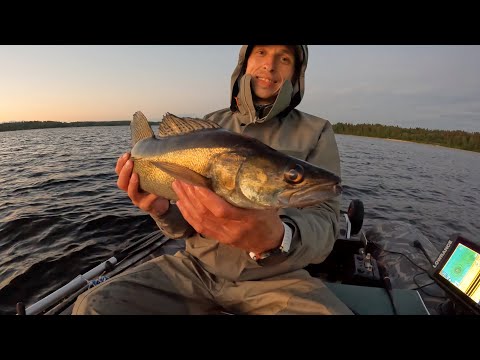 Видео: Ловля судака!Рыбалка на Селигере