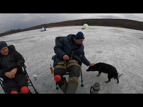 Видео: Рыбалка с ночевкой с.Хотомля Печенежское водохранилище.Март 2021.