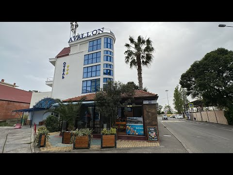 Видео: Улица Цветочная в Сочи / Адлер / Сириус / Весна / Самолеты ✈️