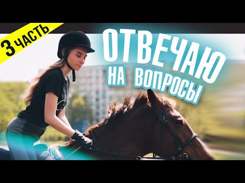 Видео: СКОЛЬКО СТОИТ Конный Спорт? / ВОПРОС-ОТВЕТ 3 часть