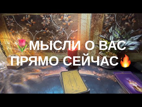 Видео: 8 ноября 2025 г.