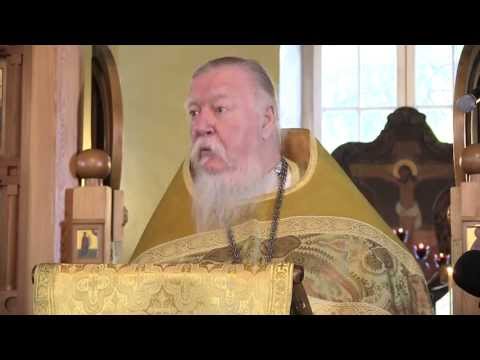 Видео: Проповедь в день памяти святых апостолов Петра и Павла