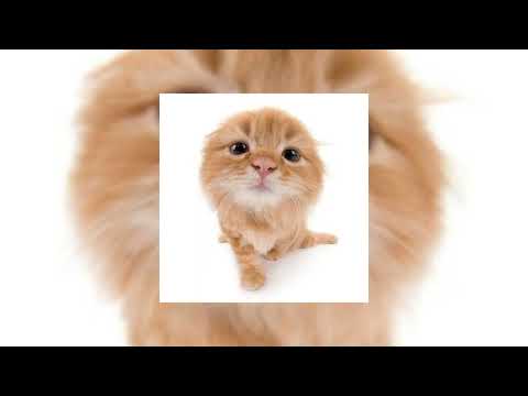 Видео: Комсомольск - Мозги & деньги (sped up song)