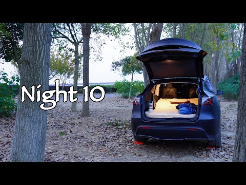 Видео: [10th Night] Используйте Tesla Model Y КЕМПИНГ у реки