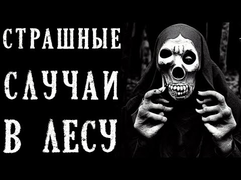 Видео: Страшные Случаи В ЛЕСУ. Истории на Ночь (5в1)