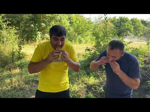 Видео: НАДОЕЛ ШАШЛЫК | ЭТОТ РЕЦЕПТ СРАЗИТ НА ПОВАЛ ЛЮБОГО ГУРМАНА