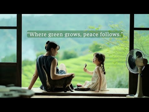 Видео: Там, где растёт зелень, наступает мир.../плейлист для тихих часов/