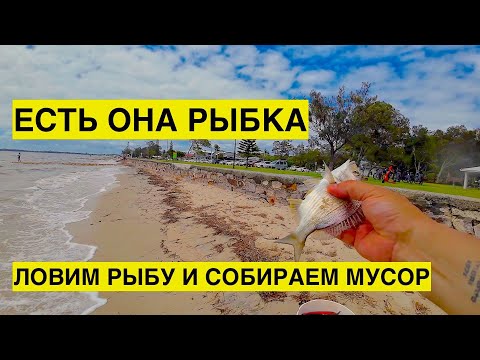 Видео: РЫБА КЛЮЁТ, А Я МУСОР СОБИРАЮ. ЗАКРЫВАЮ СЕЗОН НА ЧЕРВЯ. АВСТРАЛИЙСКАЯ РЫБАЛКА НА ПЛЯЖЕ.