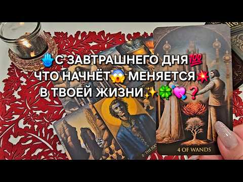 Видео: 💥С ЗАВТРАШНЕГО ДНЯ💯❗ ЧТО НАЧНЕТ МЕНЯТСЯ💥 В ТВОЕЙ ЖИЗНИ🍀♥️✨❓ Таро расклад🪬 гадание онлайн