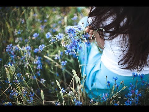 Видео: Дмитрий Зинович "На ключ..." Стихи Ирина Самарина-Лабиринт (ПРЕМЬЕРА ПЕСНИ)