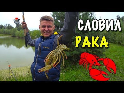 Видео: ХОЛДИК И РАК 🦂ВПЕРВЫЕ В ЖИЗНИ ПОЙМАЛ РАКА НА УДОЧКУ