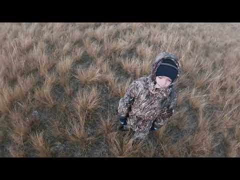 Видео: #Охота на зайца| Мой юный охотник)))