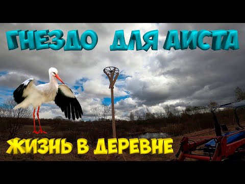 Видео: Гнездо для аиста . [Жизнь в деревне]