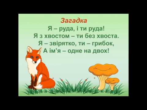 Видео: 3 клас. Природа. Гриби - живі організми. Будова та значення грибів у природі.
