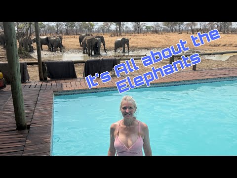 Видео: Наши последние дни в Ботсване: всё дело в слонах