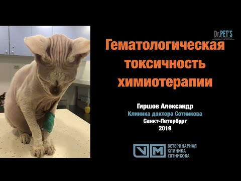Видео: Гематологическая токсичность химиотерапии