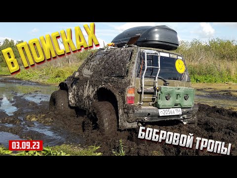 Видео: В ПОИСКАХ БОБРОВОЙ ТРОПЫ 03.09 OFF-ROAD 54