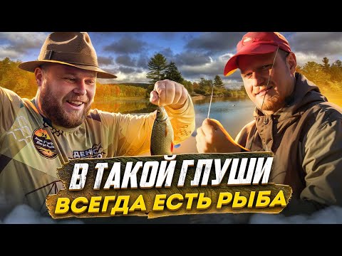 Видео: В ТАКОЙ ГЛУШИ ВСЕГДА ЕСТЬ РЫБА