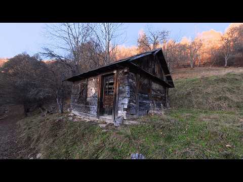 Видео: Покинутий хутір у Карпатах — Де я живу 4 місяці