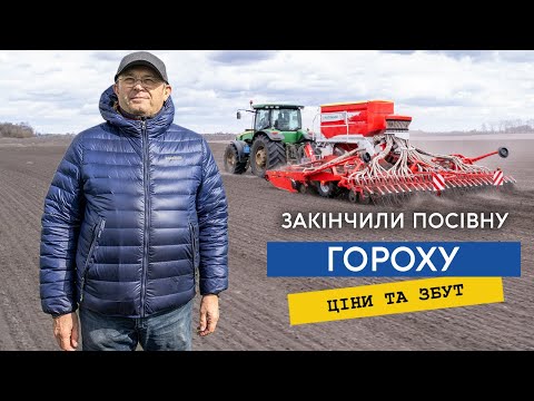 Видео: Сійте горох — ціна до 12500 за тону, ще й чудовий попередник. Технологія вирощування, ціни та продаж