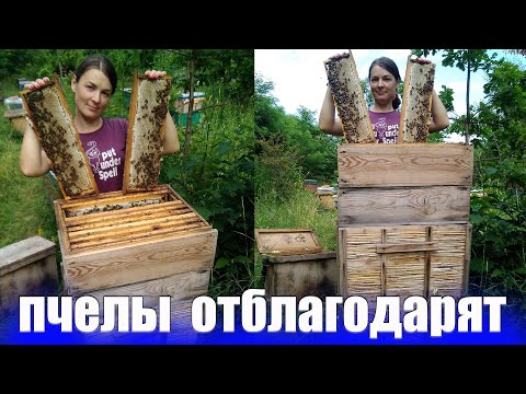 Видео: Как сделать улей из камыша полная инструкция от А до Я. Пчеловодство на ульях из камыша