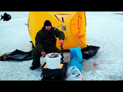 Видео: ПОПАЛИ НА ДИКИЙ КЛЕВ / КОСЯК НАВАГИ В ЛУДЕ / рыбалка на севере