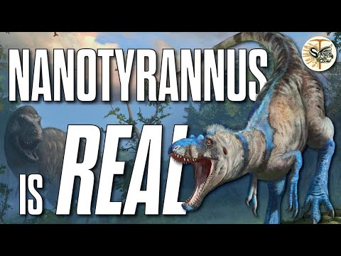 Видео: Мы завершили величайшую дискуссию в палеонтологии...