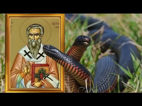 Видео: 25 сентября День Артамона. Не одевайте одежду со змеиным рисунком