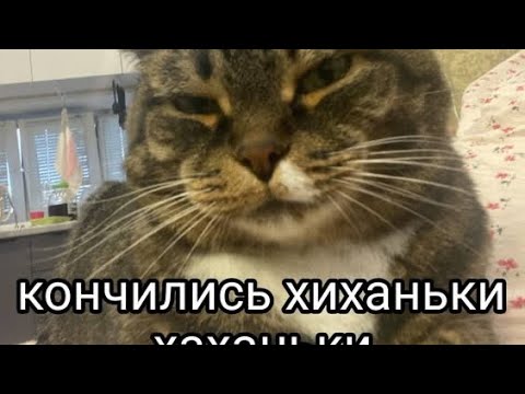 Видео: Бумеранги за работы на уход