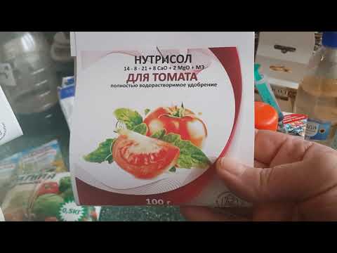 Видео: Ответы на вопросы. Как выглядит спороношение триходермы.