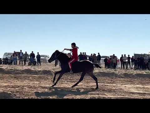 Видео: Бәйге Қызан ауылы 28.05.2022